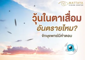 วุ้นในตาเสื่อม